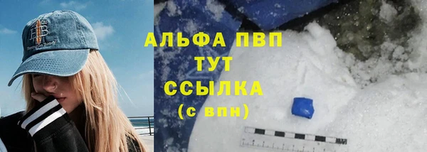 стаф Дмитровск