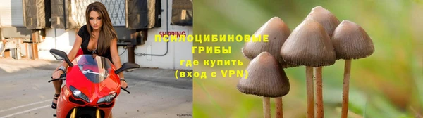 мефедрон Гусиноозёрск
