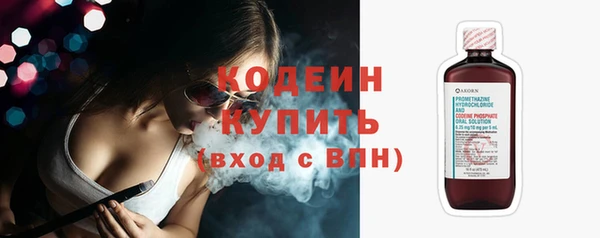 стаф Дмитровск