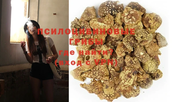 дживик Дмитриев