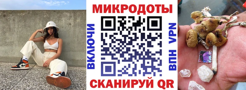 Псилоцибиновые грибы Magic Shrooms  Москва 